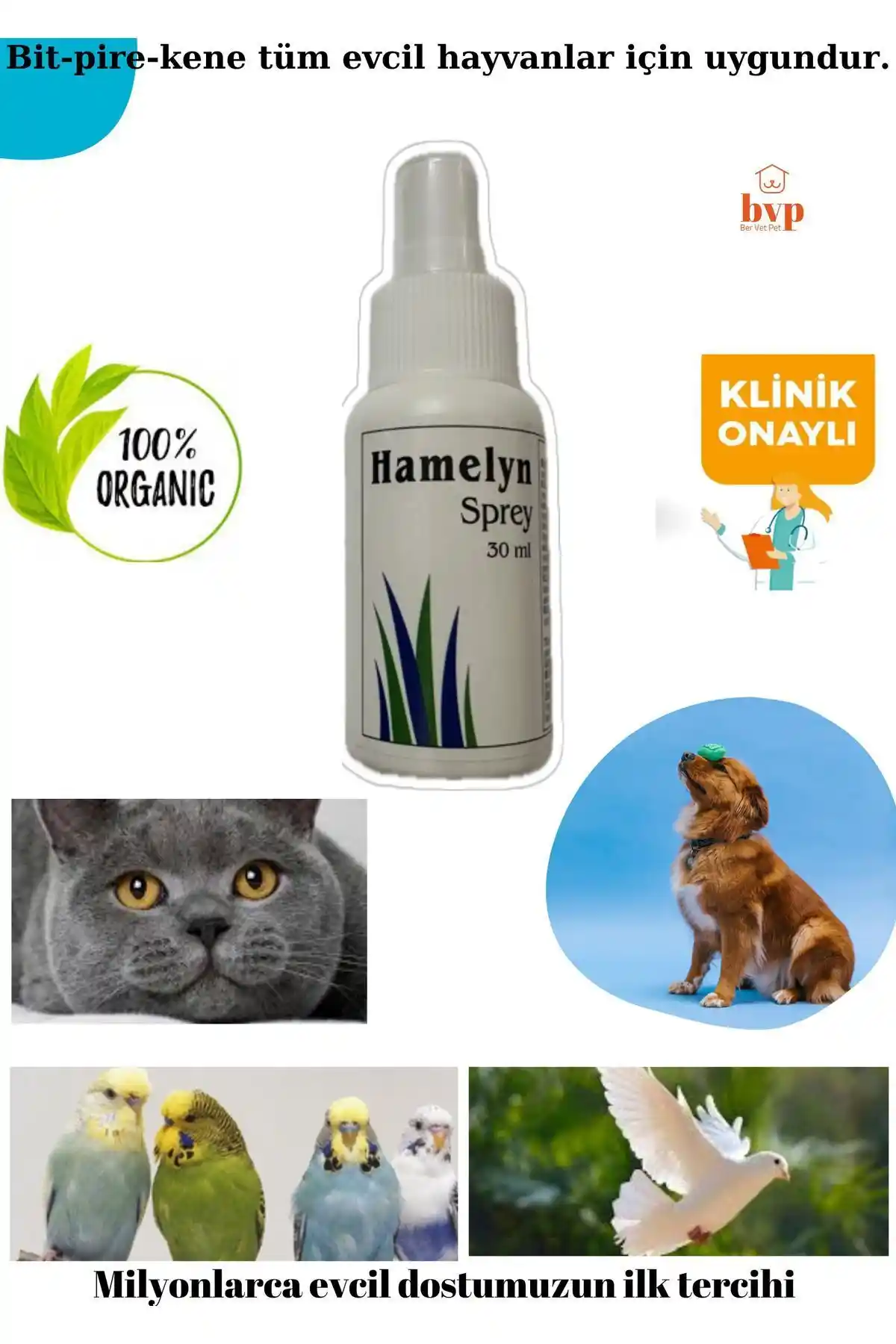 Hamelyn ve Oithox Plus Ul Karşılaştırması: Hangi Haşere İlacı Daha Uygun