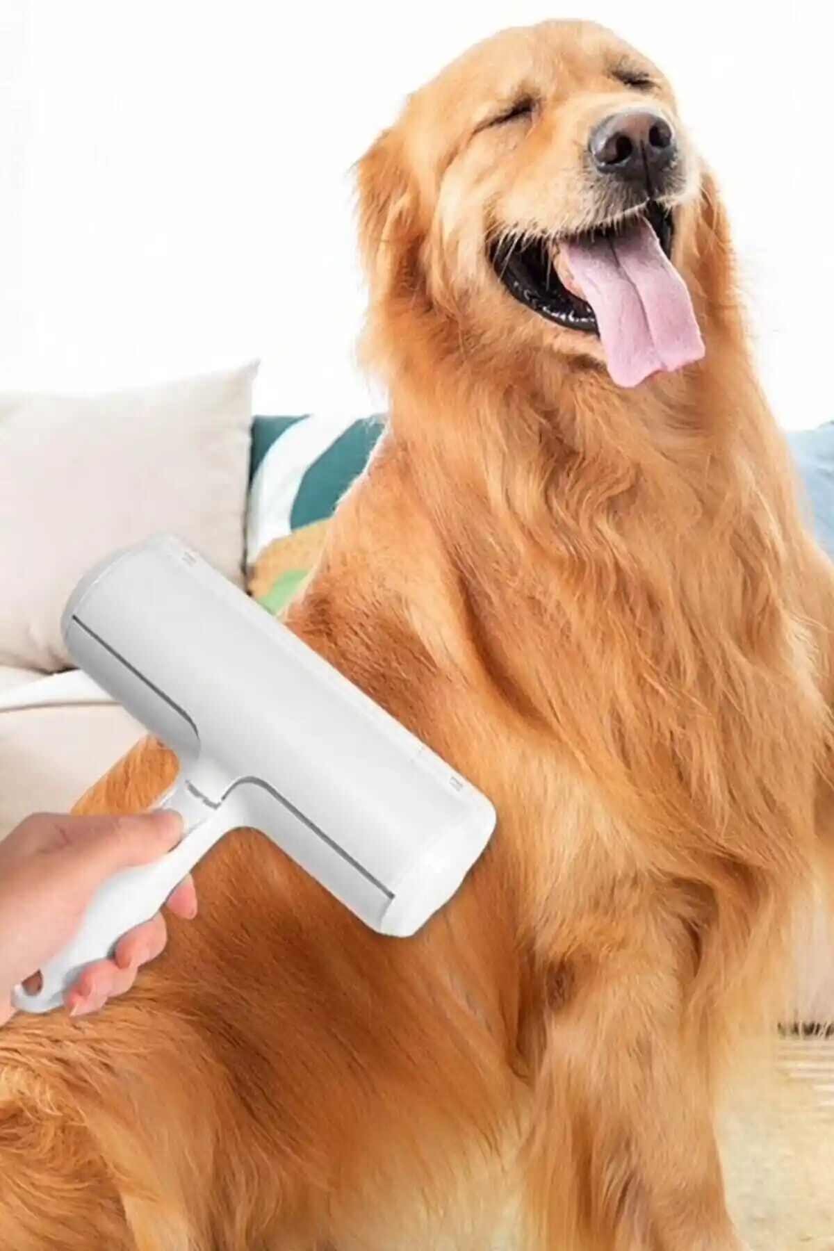 Miomi Kedi ve Köpek Tüy Toplama Eldiveni ve Temizleyici ile Pratik Evcil Hayvan Tüyü Temizliği