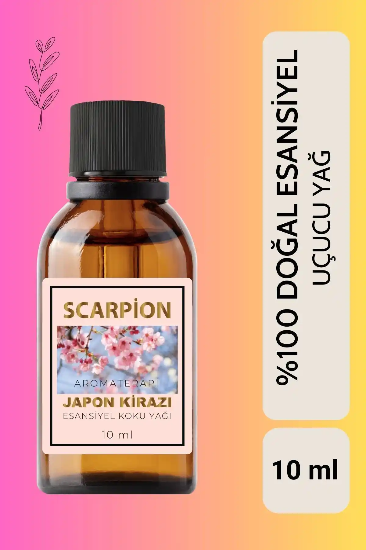 SCARPİON Japon Kirazı ve Lavanta Uçucu Yağlarının Detaylı Karşılaştırması