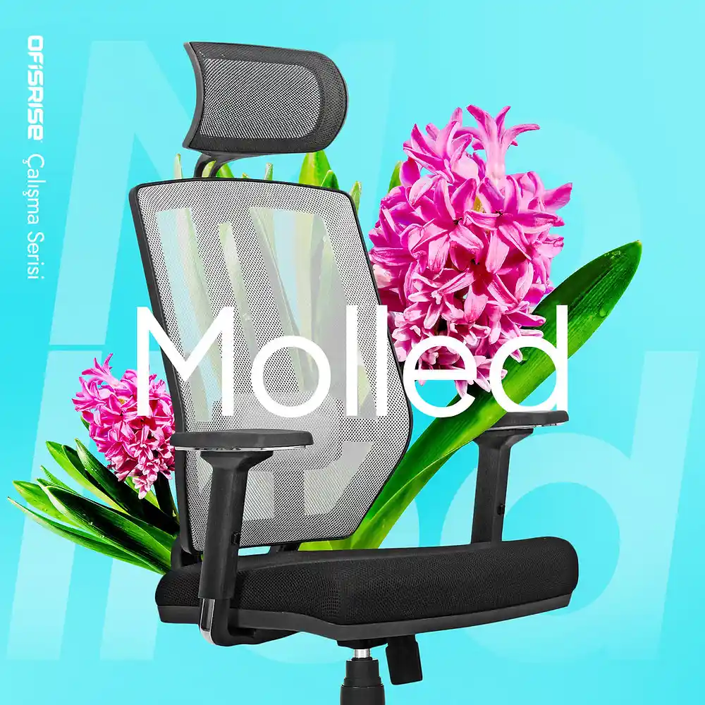 Coleman ve Bob's Dream Modüler Koltukları: Konfor, Dayanıklılık ve Kullanıcı Deneyimleri İncelemesi