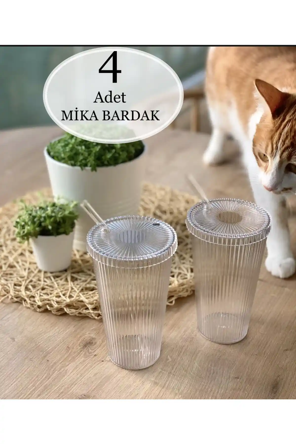 Küçük Mika Bardak Seti 4 Adet 600 ml BPA İçermeyen Modern Tasarım