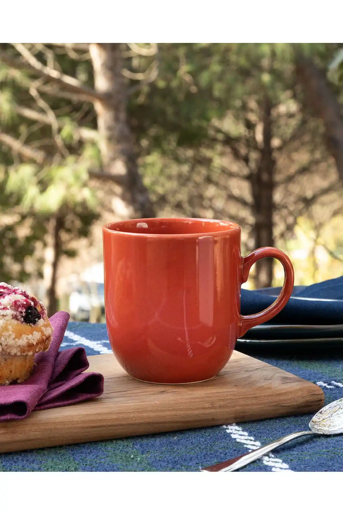 Madame Coco Orchide ve Reacy Kupaların Detaylı Karşılaştırması ve En Uygun Seçeneklerin İncelenmesi