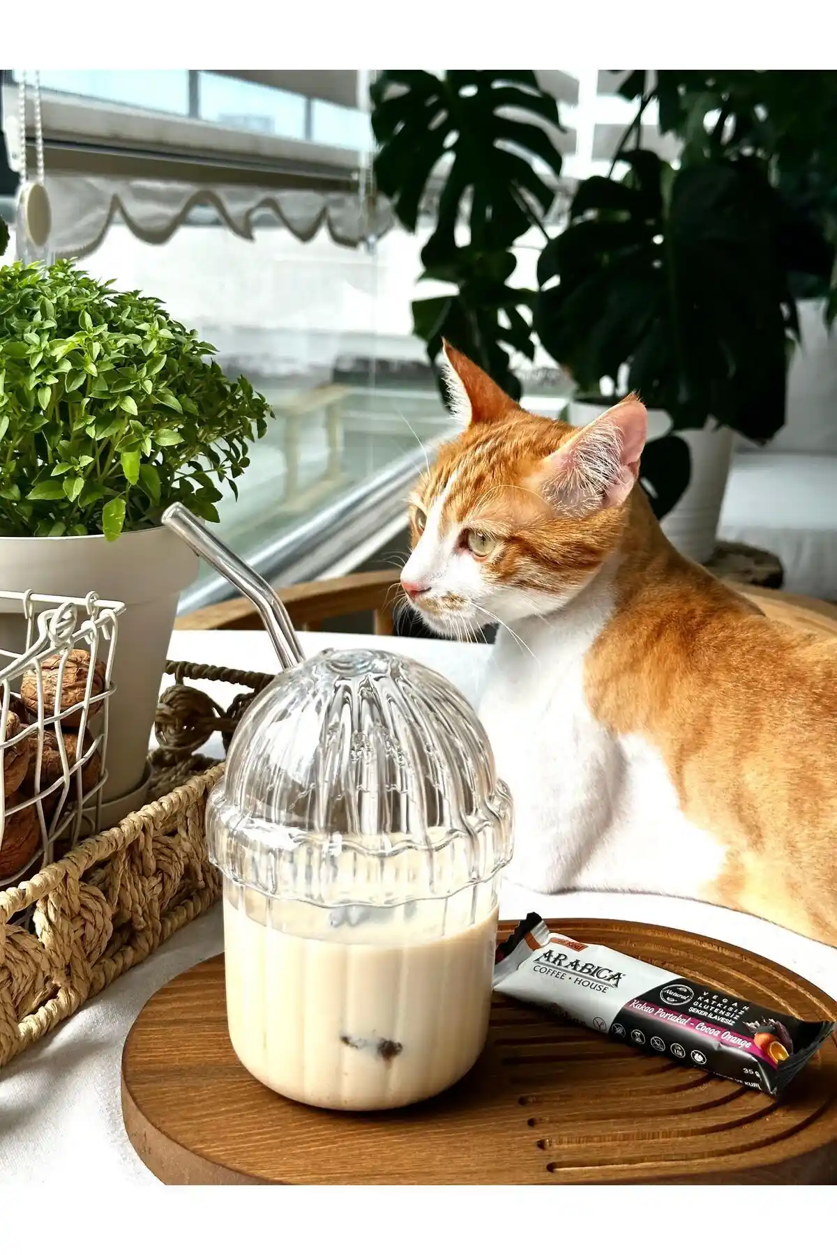 MİMOZA PARK 430 ml Oval Kapaklı Mika Plastik Bardak Günlük Kullanım İçin Uygun