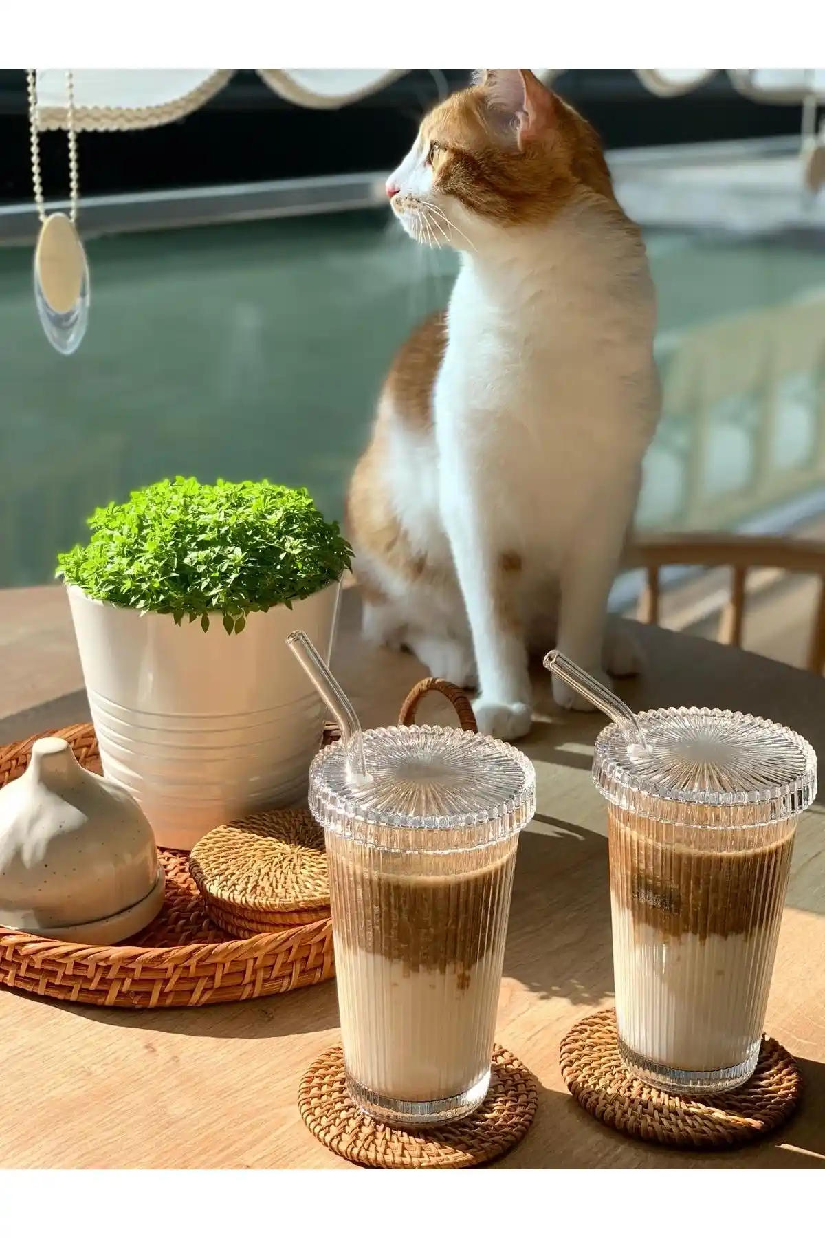 MİMOZAPARK Şık ve Dayanıklı Cam Bardak Seti ile İçecek Sunumlarınızı Geliştirin