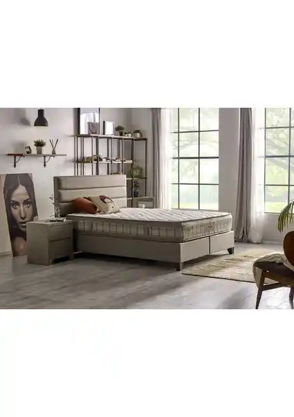 Serabed Planet ve US. Sleeping Yaylı Yatak Karşılaştırması: Özellikler ve Kullanıcı Yorumları