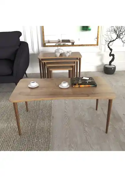 Zuesse Dizayn Aleyna ve Esma Sehpa Setleri Karşılaştırması ve Özellikleri