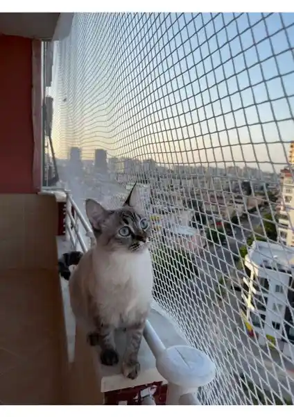 Netlife 1 mm Kare Kesim Filesi: Dayanıklı ve Çok Yönlü Güvenlik Ağ Sistemleri