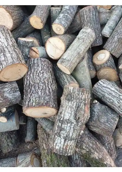 Özkayalar Meşe Odunu: Doğal ve Sürdürülebilir Isınma Çözümü Hakkında Detaylı Bilgi