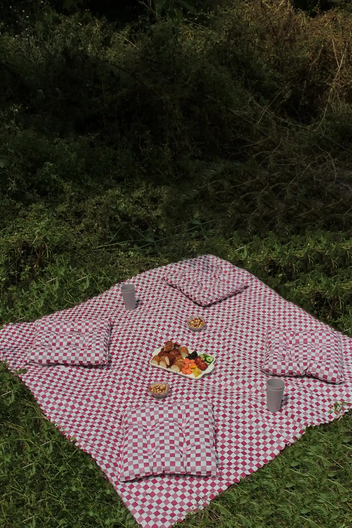 Açık Hava Kullanımı İçin Piknik Ürünleri Karşılaştırması ve Seçim Rehberi