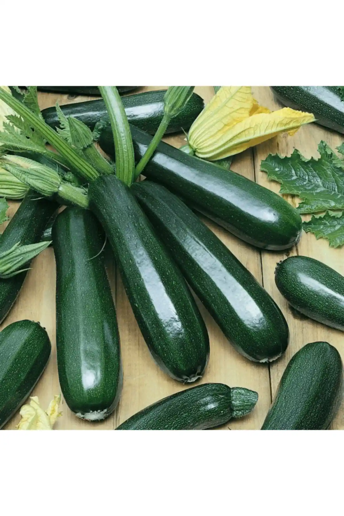 Agrodal Tarım Tohumları Karşılaştırması: Ata Tohumu ve Charleston Gray Karpuz