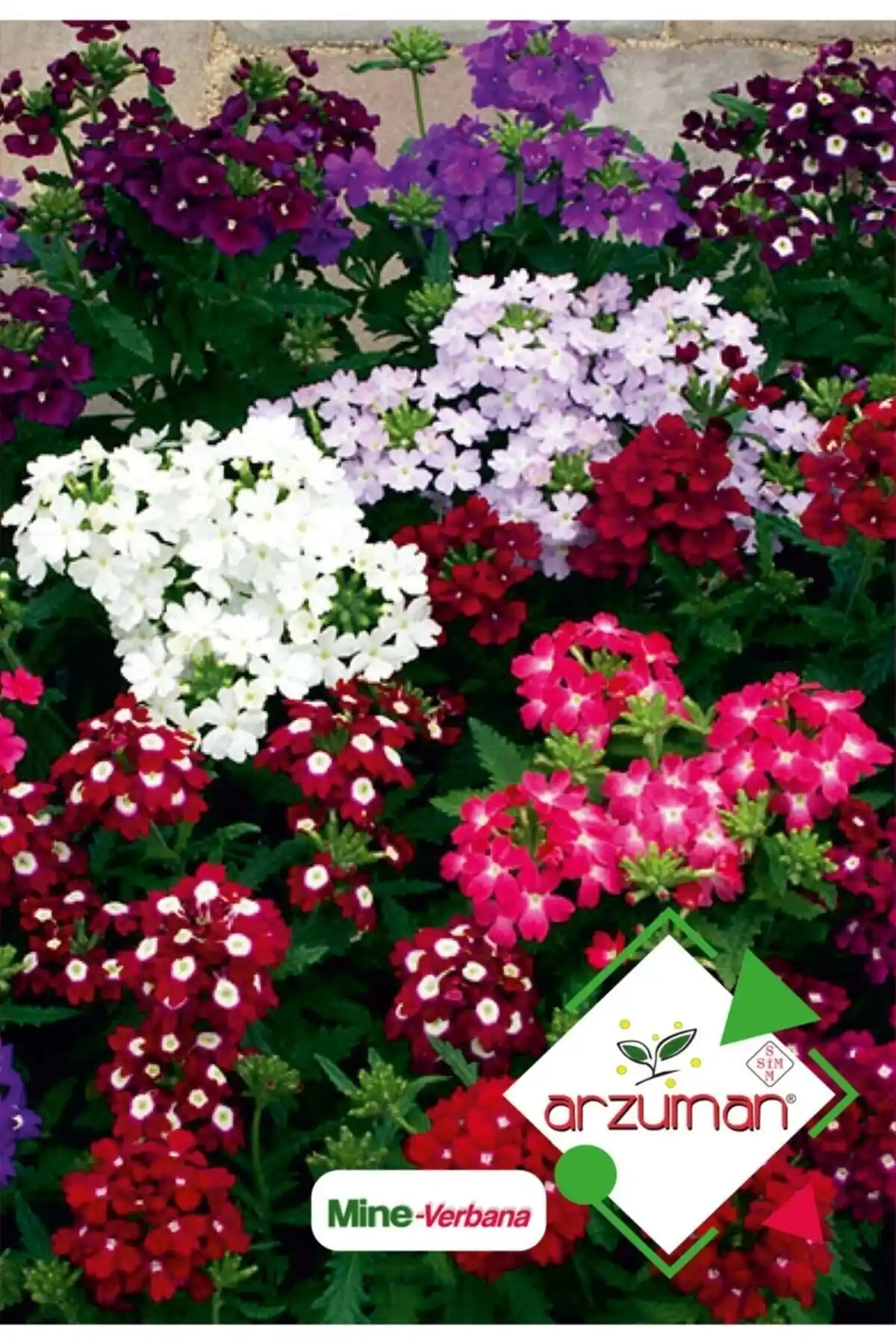 Arzuman Mine ve Patika Botanik Çiçek Tohumları Karşılaştırması: Bahçe ve Balkon İçin En İyi Seçenekler