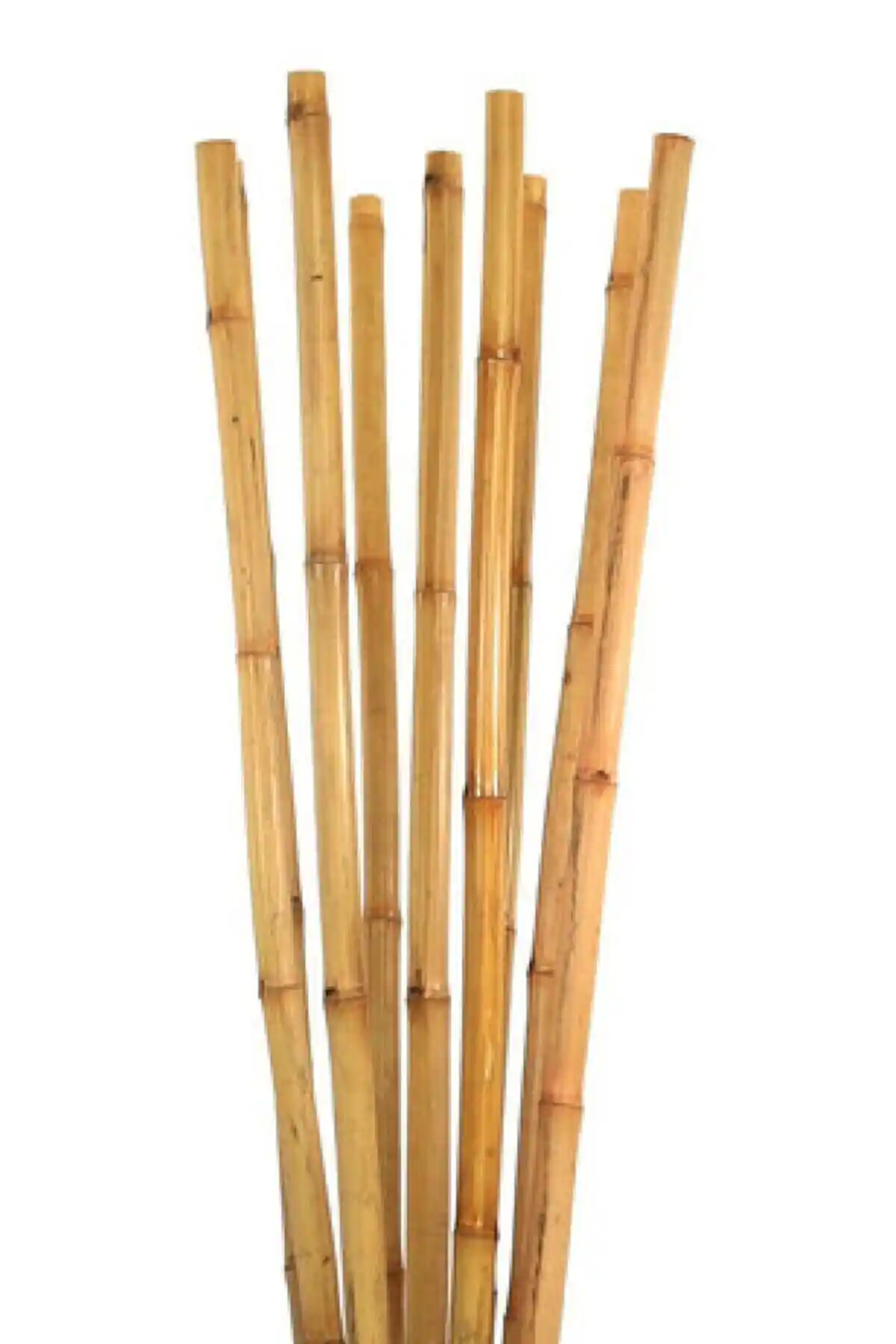 Bahçe Bitkileri İçin Bambu Destek Çubukları Karşılaştırması ve Kullanıcı Yorumları