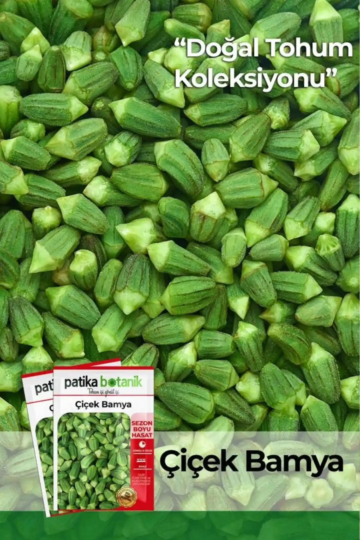 Bahçe İçin Sebze ve Çiçek Tohumu Setleri Karşılaştırması ve Seçim Rehberi