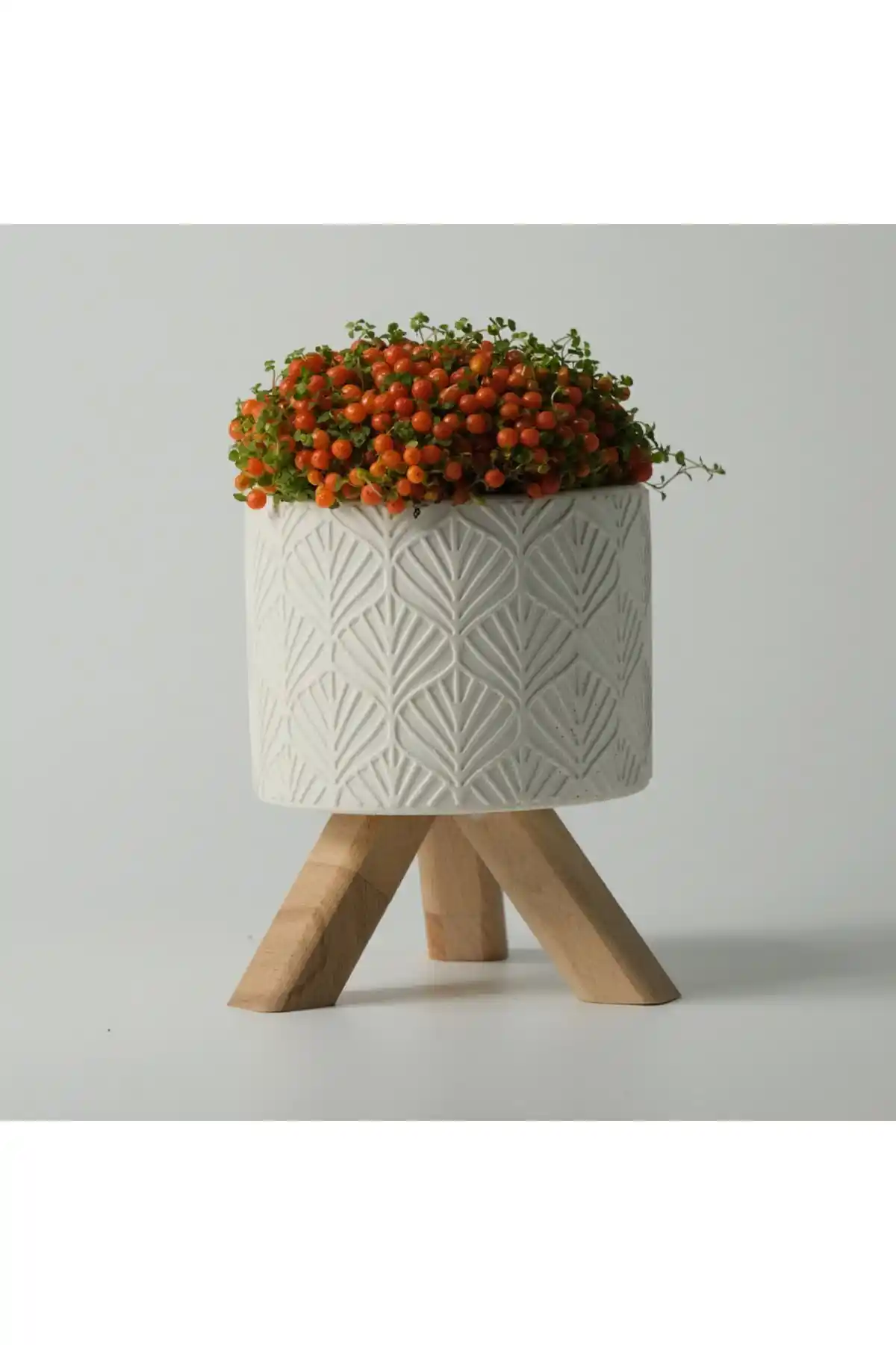 Beton Saksı Karşılaştırması: Kaju Creative ve Serengeti Modellerinin Özellikleri ve Seçim Rehberi