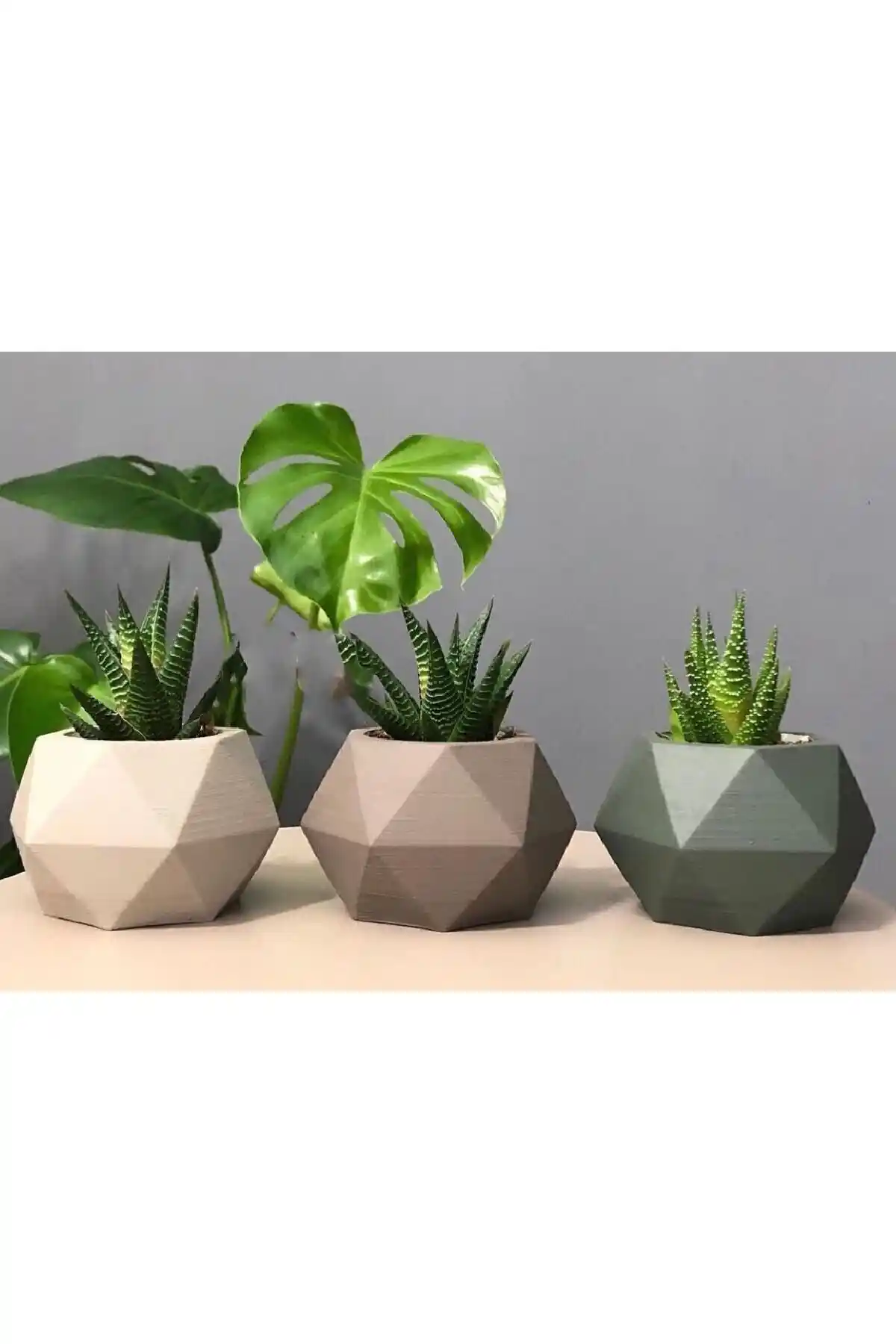 Beton Saksı Karşılaştırması: Prizma ve Trix Modellerinin Özellikleri ve Kullanıcı Yorumları