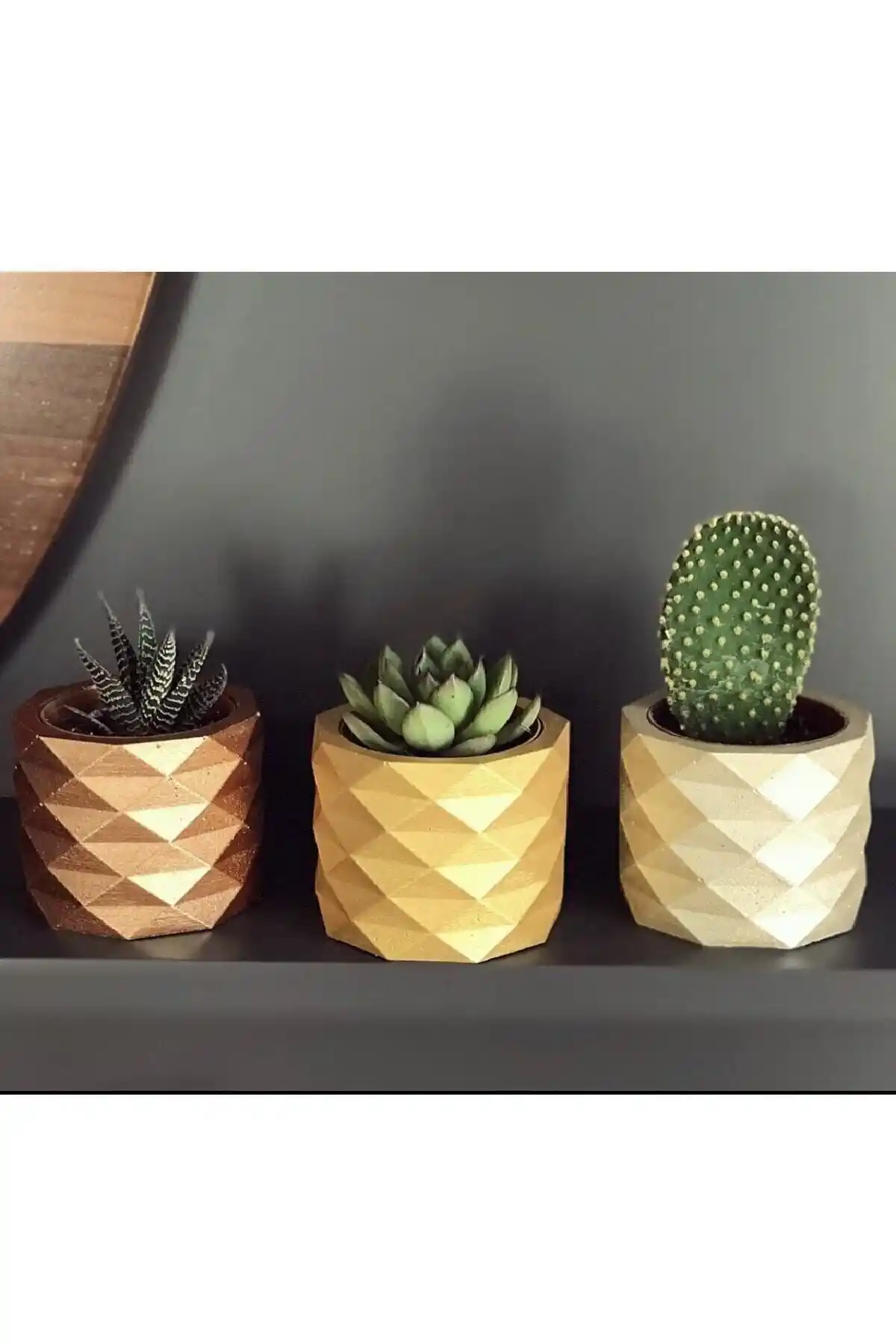 Beton ve Renkli Saksı Setleri Karşılaştırması: Hangi Ürün Daha Uygun