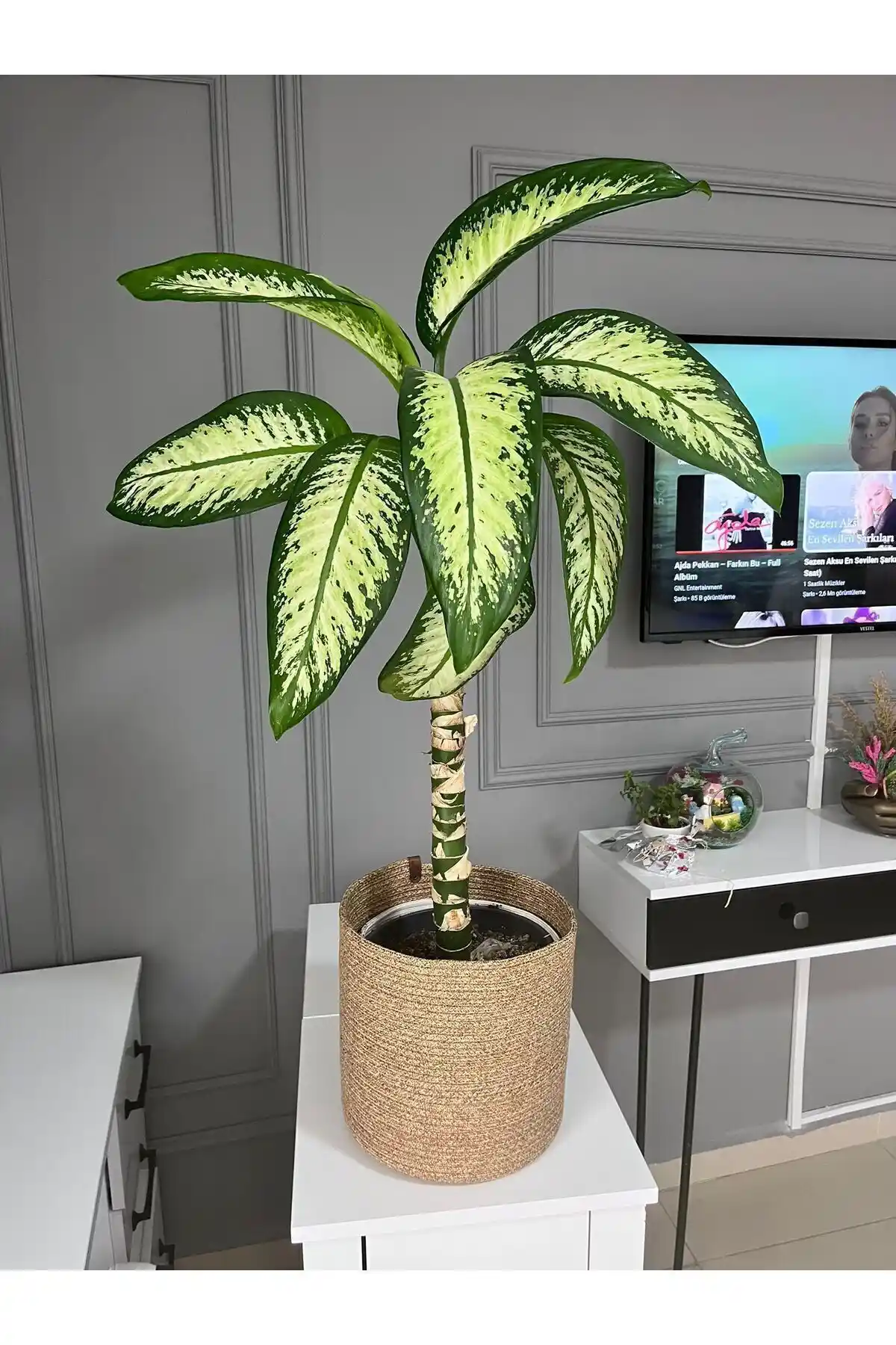 BEVEZ HOME ve ENBEVEZ HOME Hasır Saksılık Karşılaştırması: Stil, Boyut ve Kullanım Özellikleri