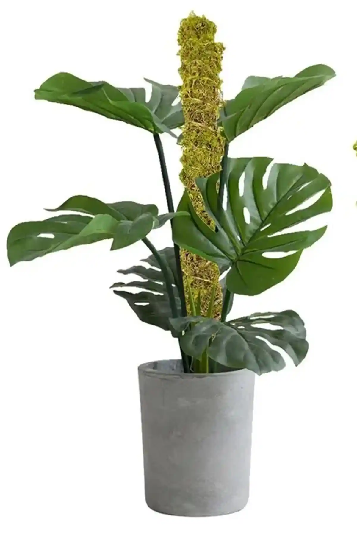 Bitki Destek Çubukları Karşılaştırması: 140cm ve 60cm Modellerinin Özellikleri