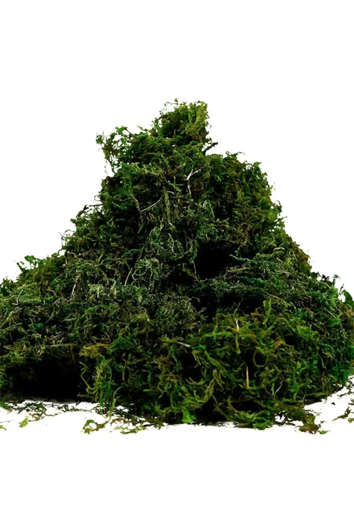 Bitkicim Canlı Sphagnum Peat Moss ve Orkide Yetiştirme Cocohusk Karşılaştırması