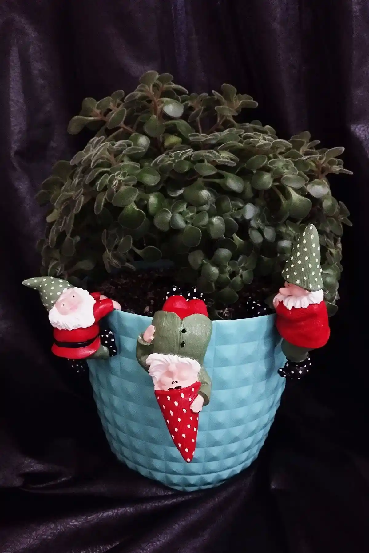 Boyalı Üçlü Noel Baba Teraryum ve Kaplumbağa Saksı Seti Karşılaştırması