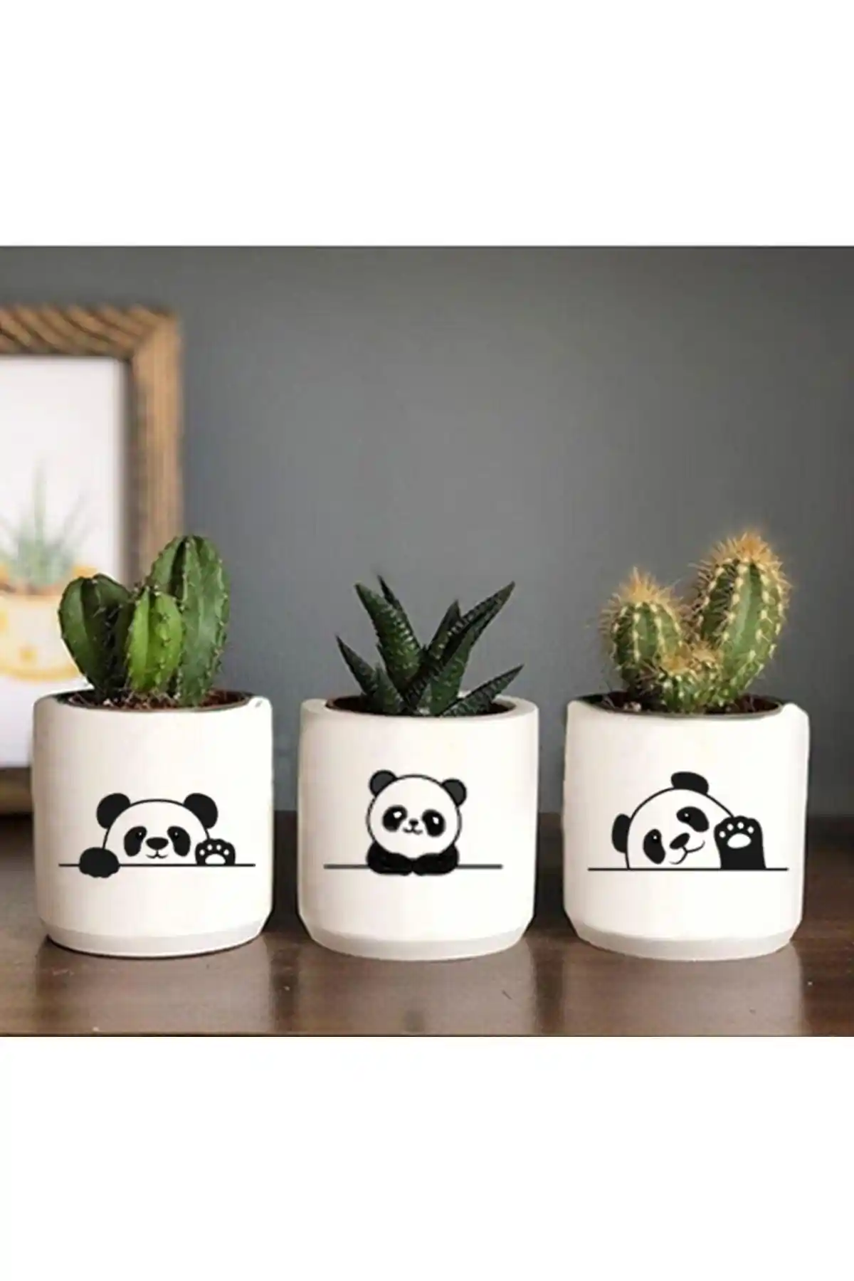 Dekozayn Home Panda Desenli Saksı ve Genel Markalar 4'lü Saksı Seti Karşılaştırması