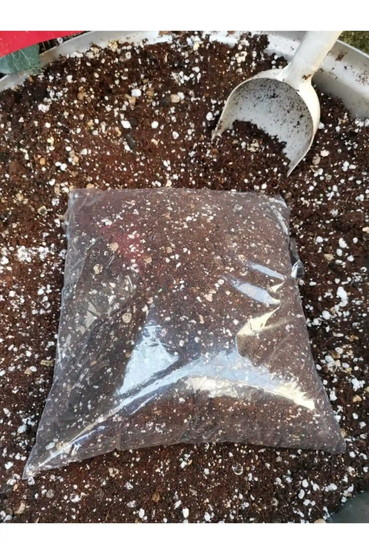 Durutasarım Kaktüs Toprağı ve LS BOTANİK Pomza Taşı Karşılaştırması