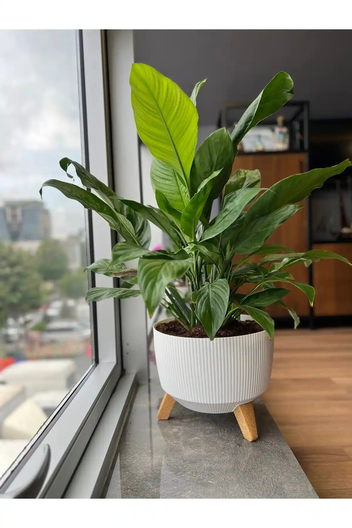 Elif ELİF ve Genel Markalar ELİF Nostalji Saksıları Karşılaştırması