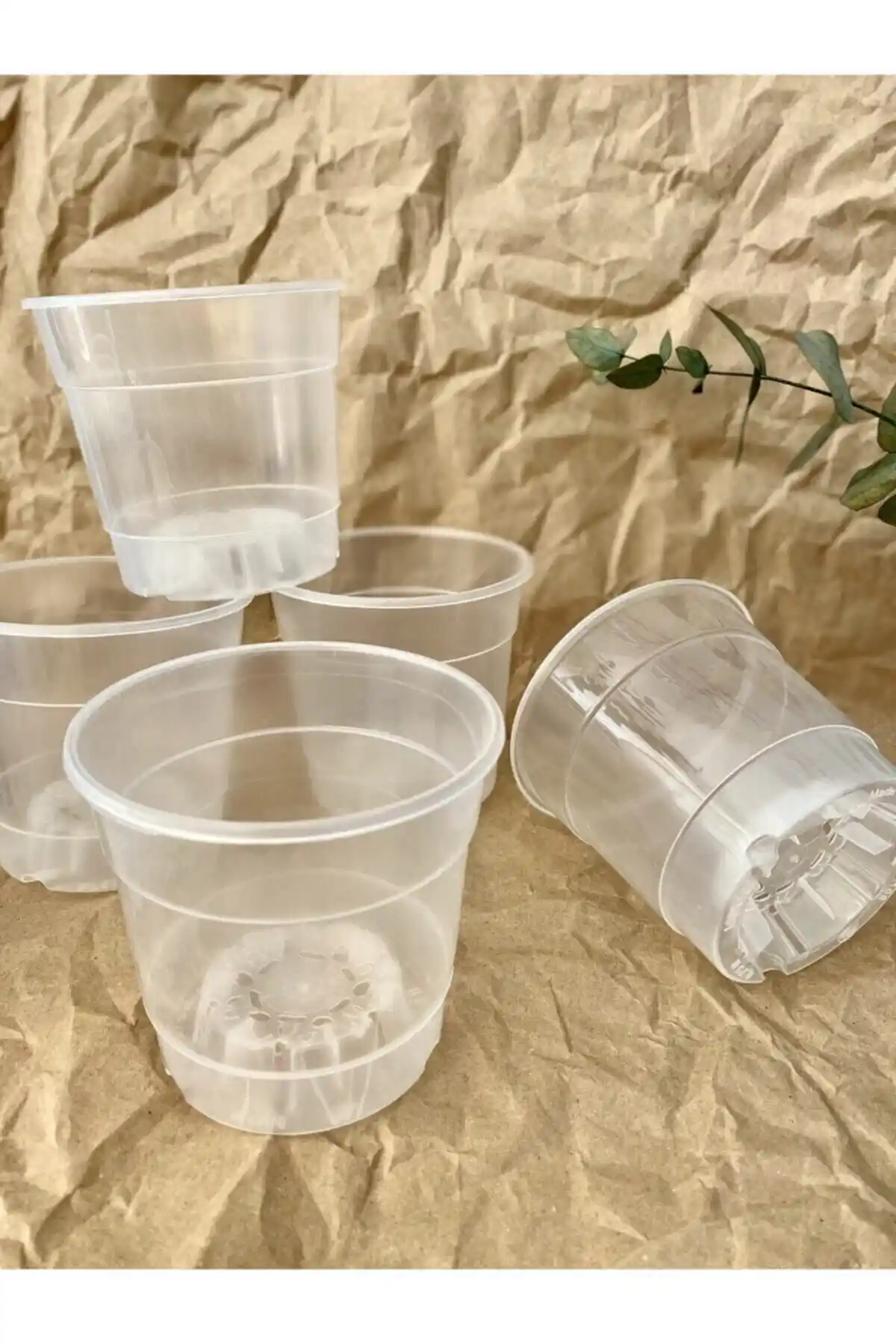 Elysian ve Orkide Yetiştirme Saksıları Karşılaştırması: Hangi Saksı Orkide Bakımında Daha Uygun?