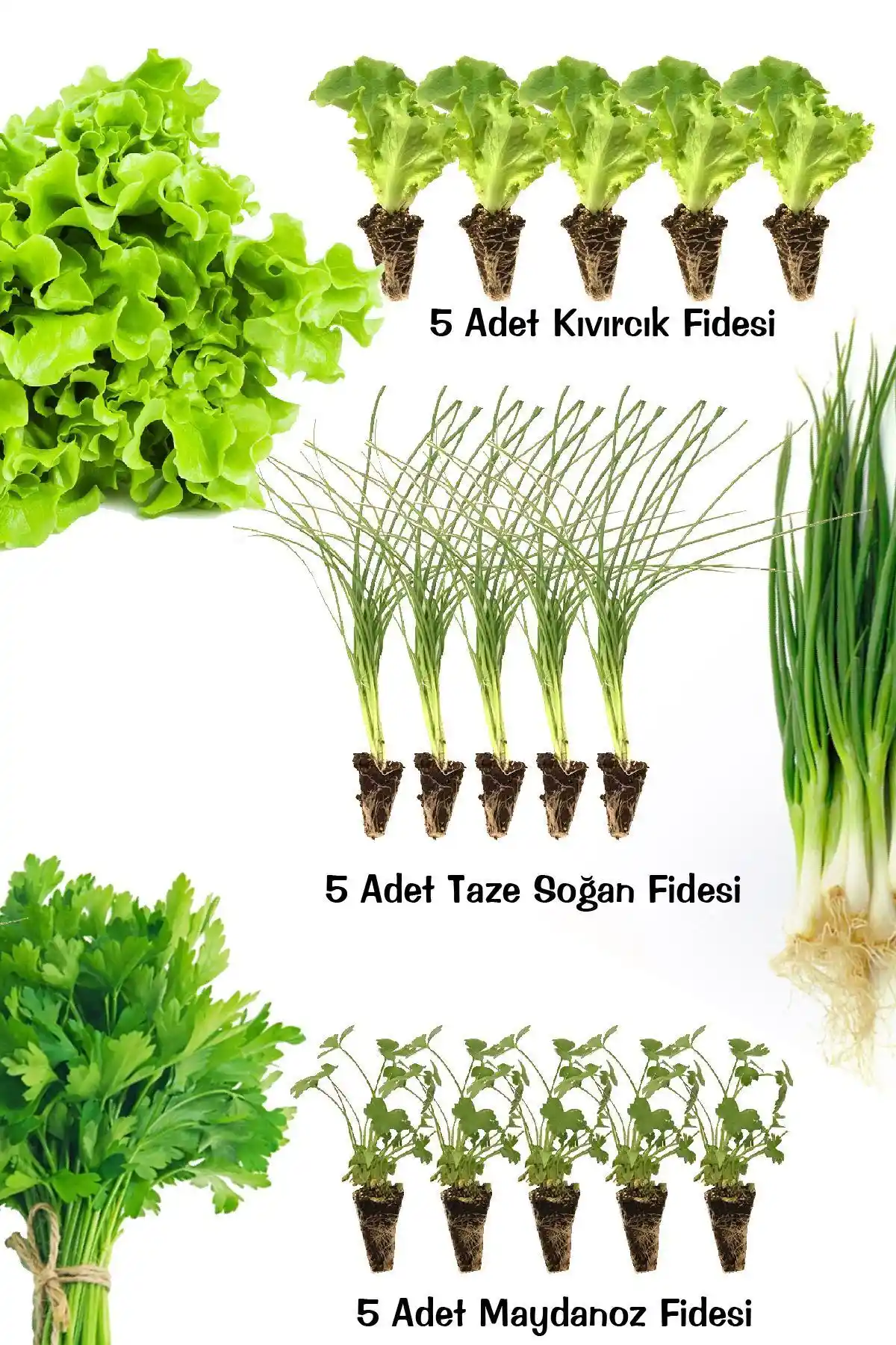 Gardina ürünleri karşılaştırması: fide setleri ve hidroponik yetiştirme yöntemleri