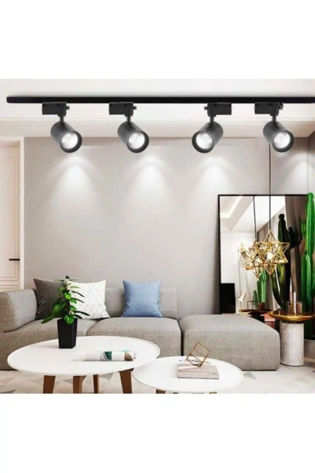 Genel Markalar 4 Lü Set Siyah Kasa Ray Spot ve TAŞKIN LED 30 W Ray Spot Karşılaştırması