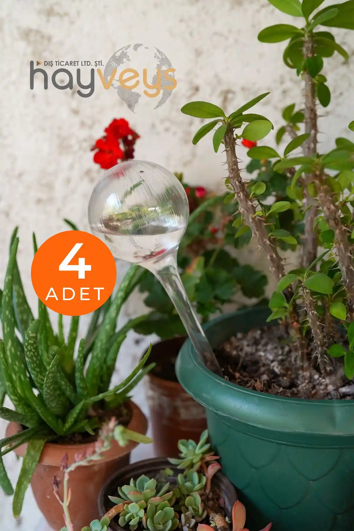 Hayveys ve IKEA Fısfıs Çiçek Sulama Aparatları Karşılaştırması