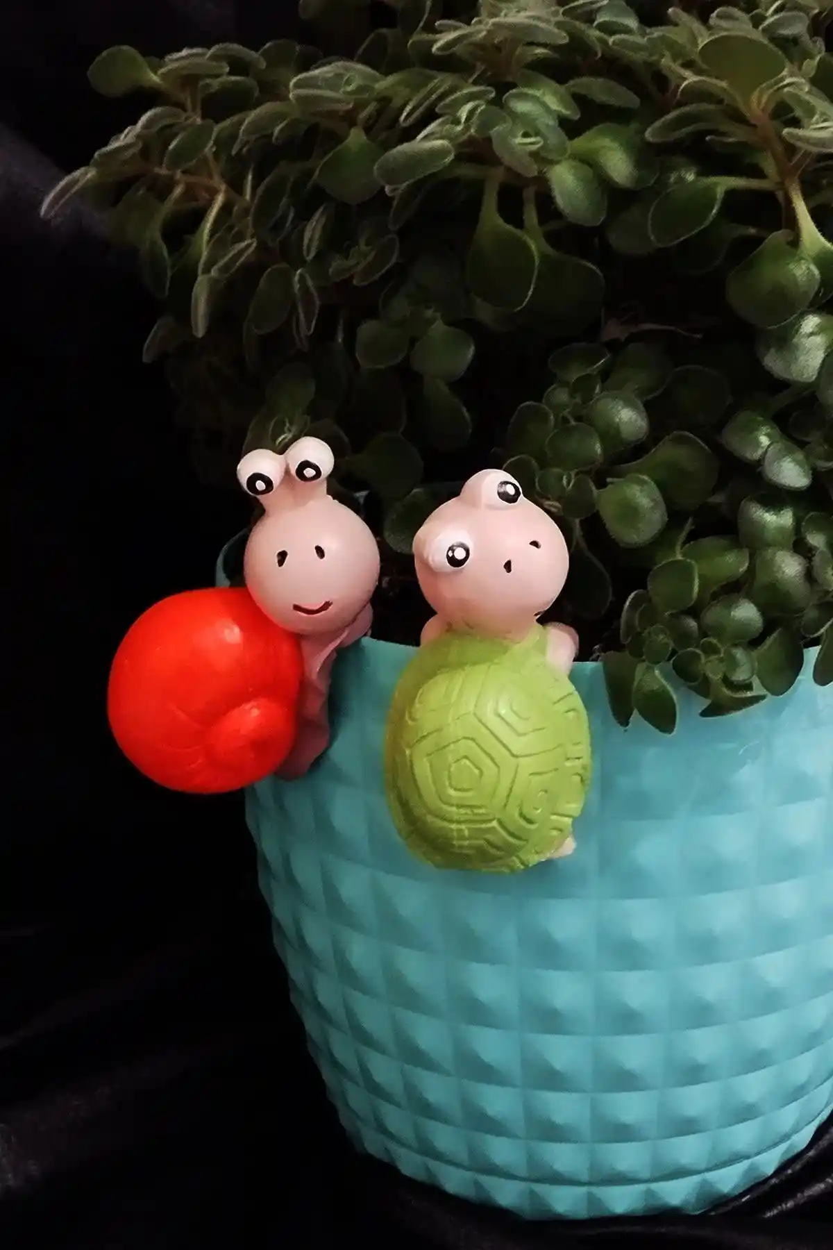 Herteldenhobies ve Temmuz Home Teraryum Saksıları Karşılaştırması