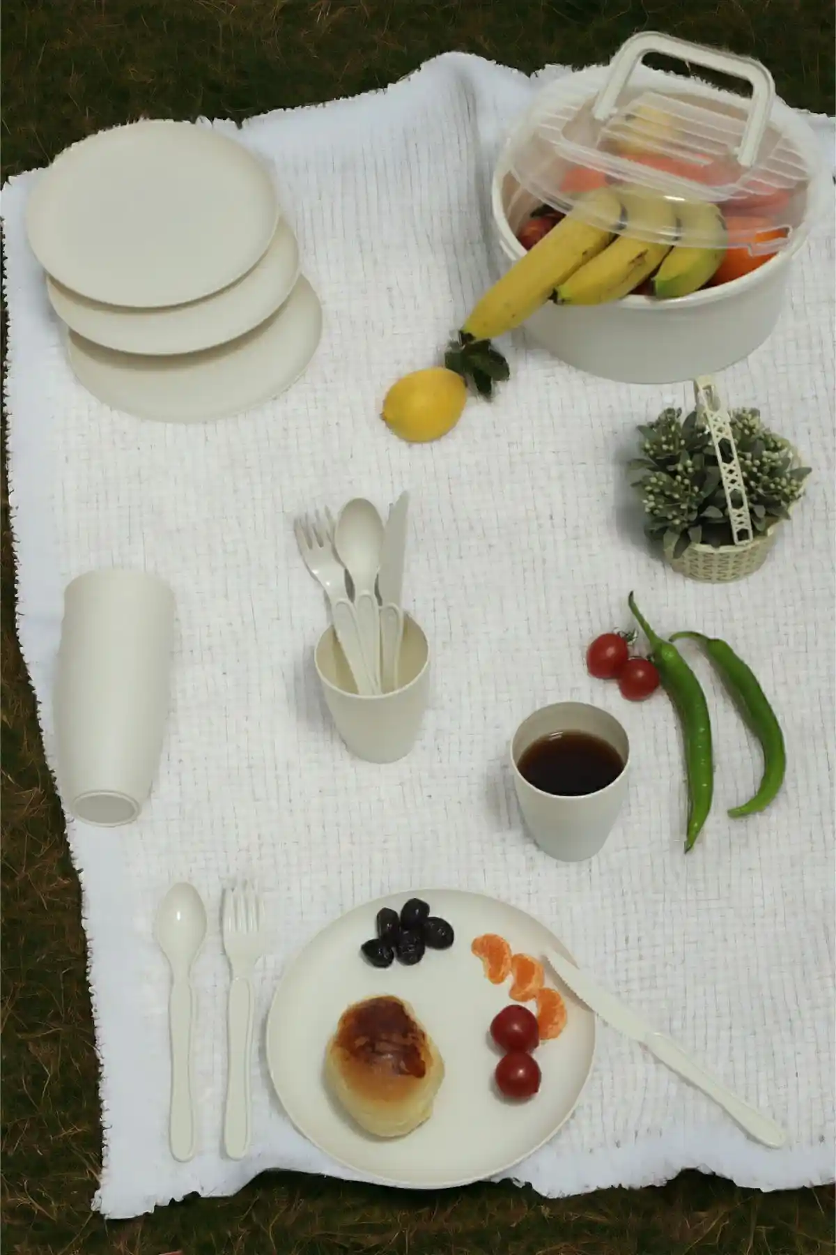 İronika ve Mars Plastik Piknik Setleri Karşılaştırması: Hangi Set İhtiyaçlarınıza Uygun