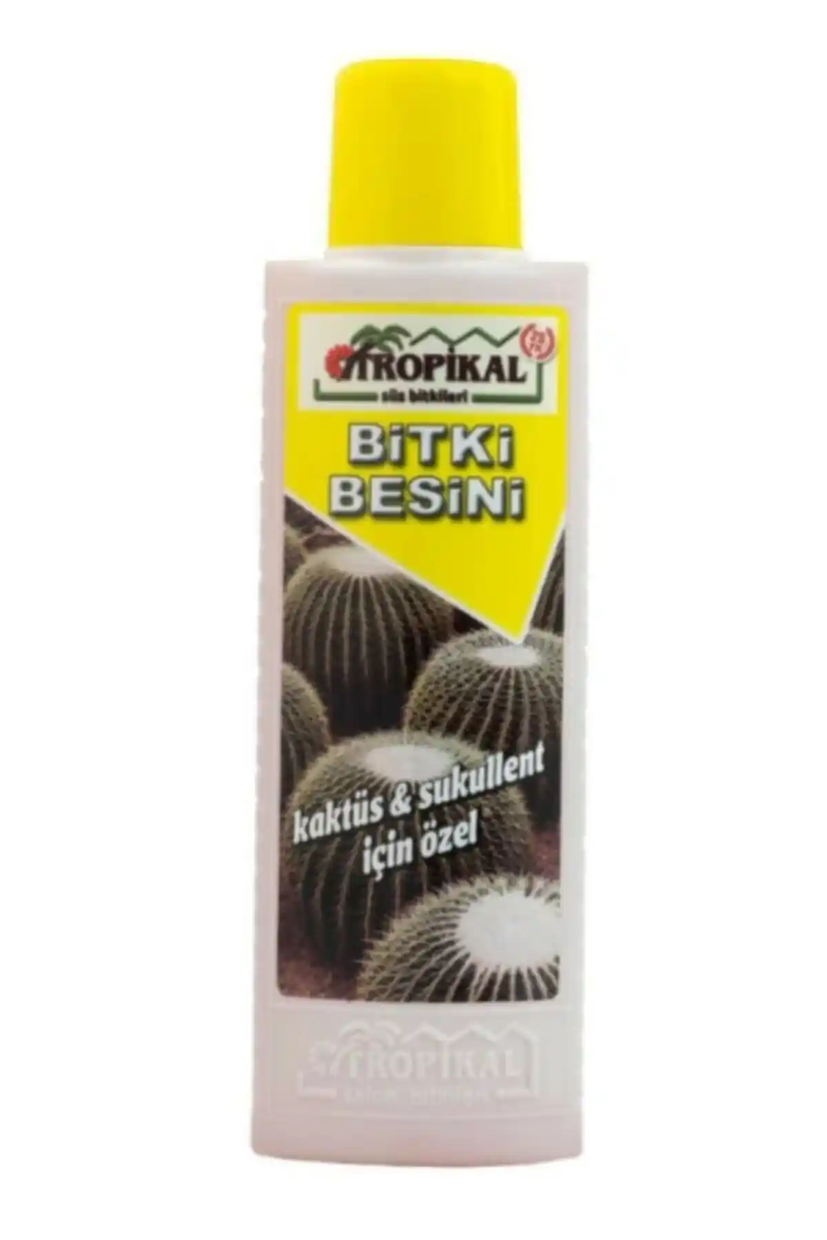 Kaktüs ve Sukulent Bitkileri İçin En İyi Gübreler Karşılaştırması