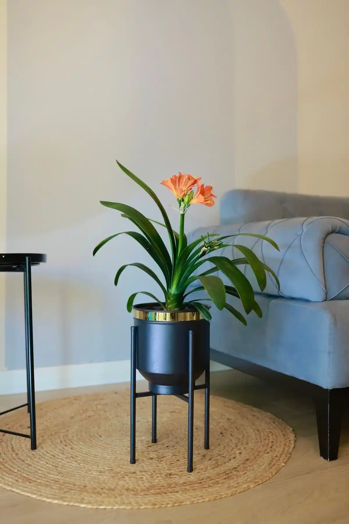 Metal Saksı Ayaklı Çiçeklik Karşılaştırması: 41x21cm ve 41x30cm Modelleri