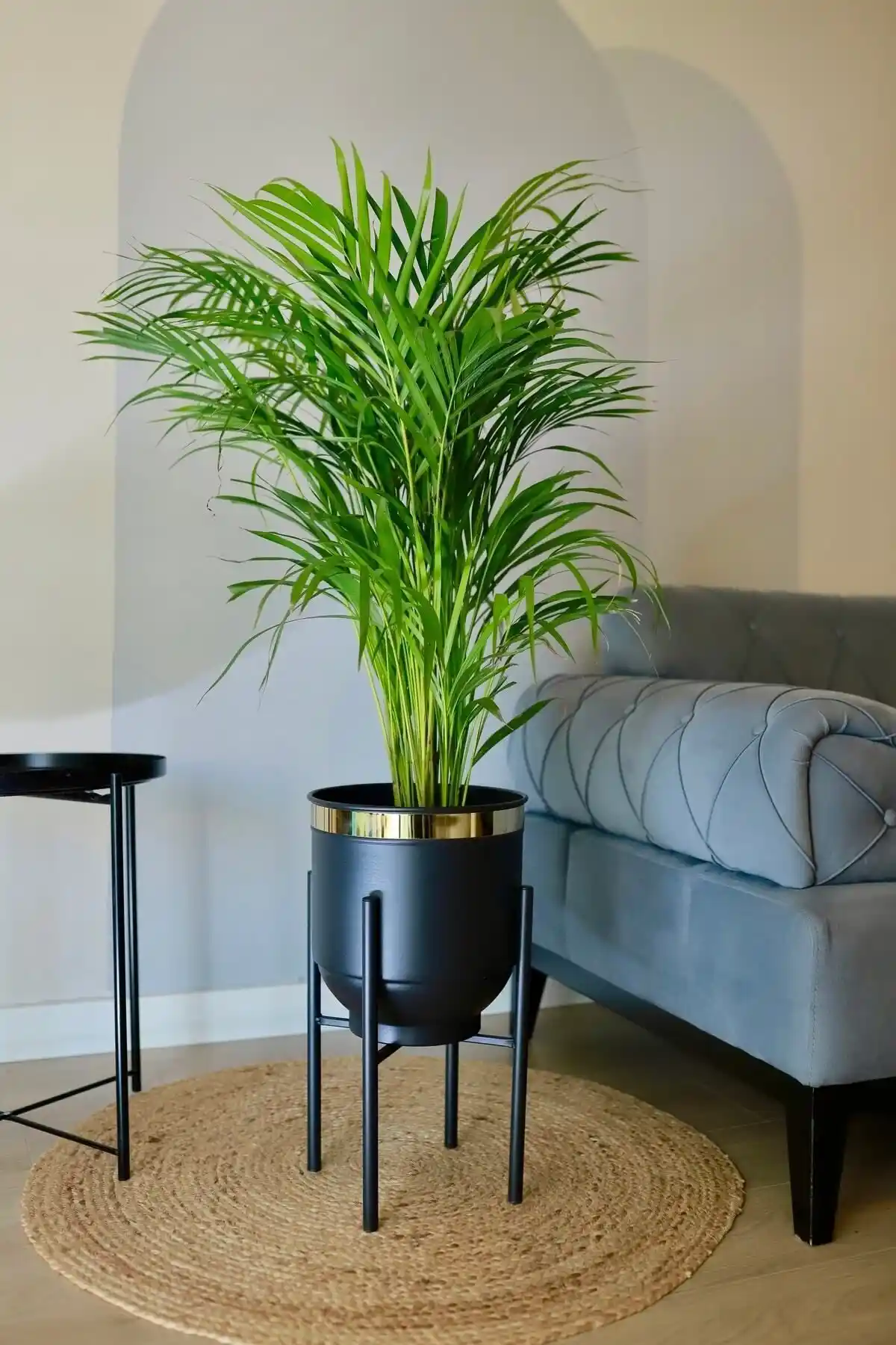 Metal Saksı Ayaklı Çiçeklik Karşılaştırması: Modern ve Şık Dekoratif Seçenekler