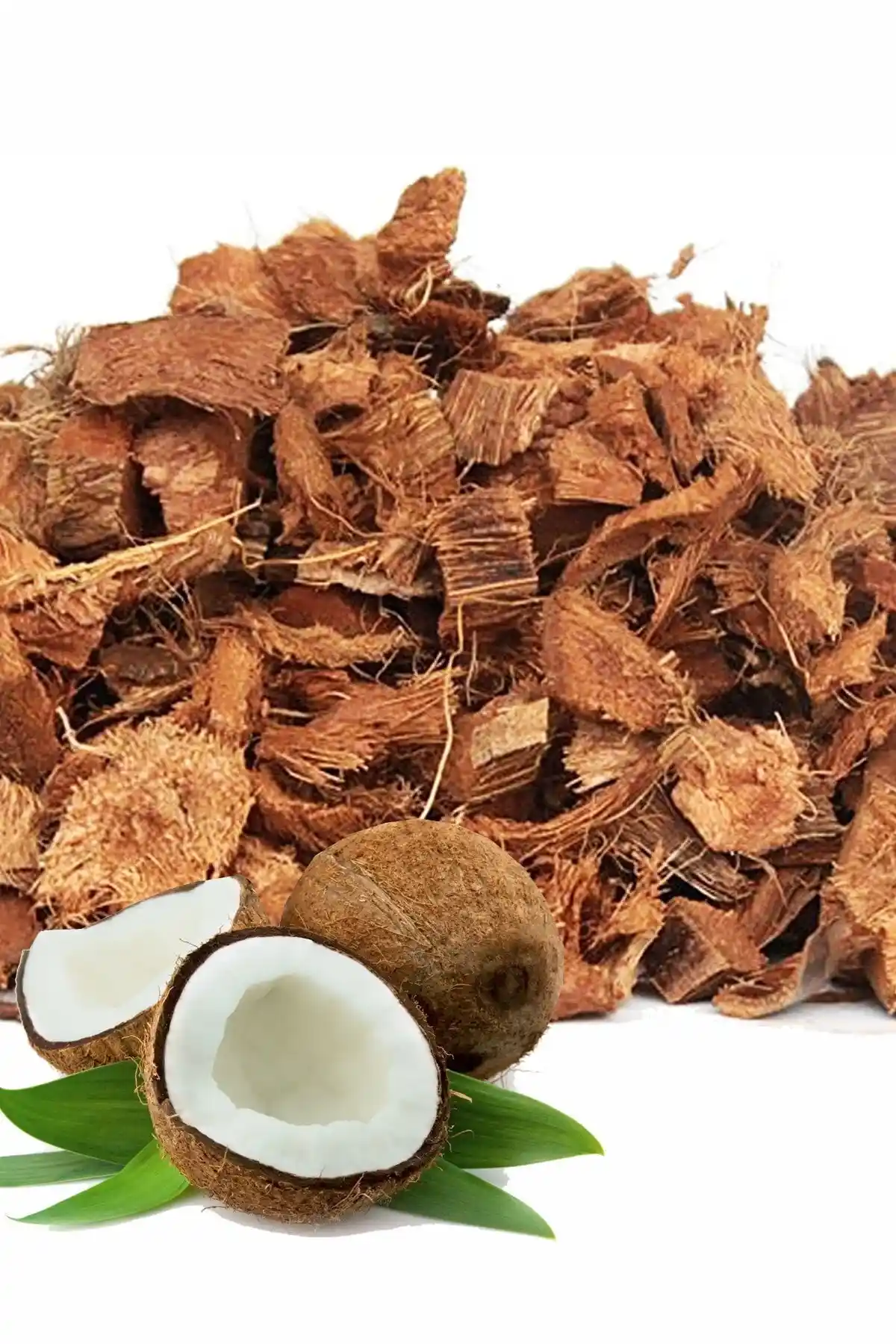 Orkide Yetiştirme İçin Cocohusk ve Akıllı Torf Karşılaştırması