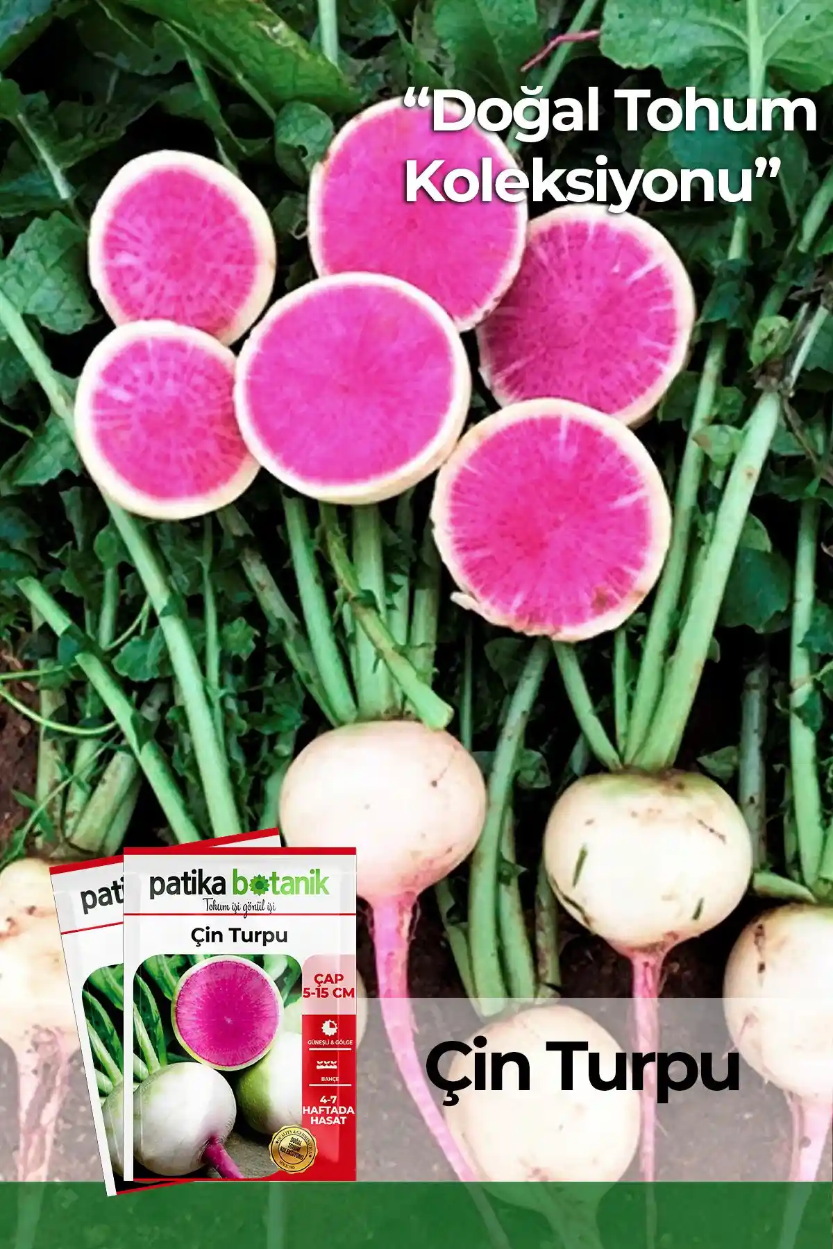 Patika Botanik 500 Adet Çin ve Fındık Turp Tohumu Karşılaştırması ve Bahçe İçin En İyi Seçenekler