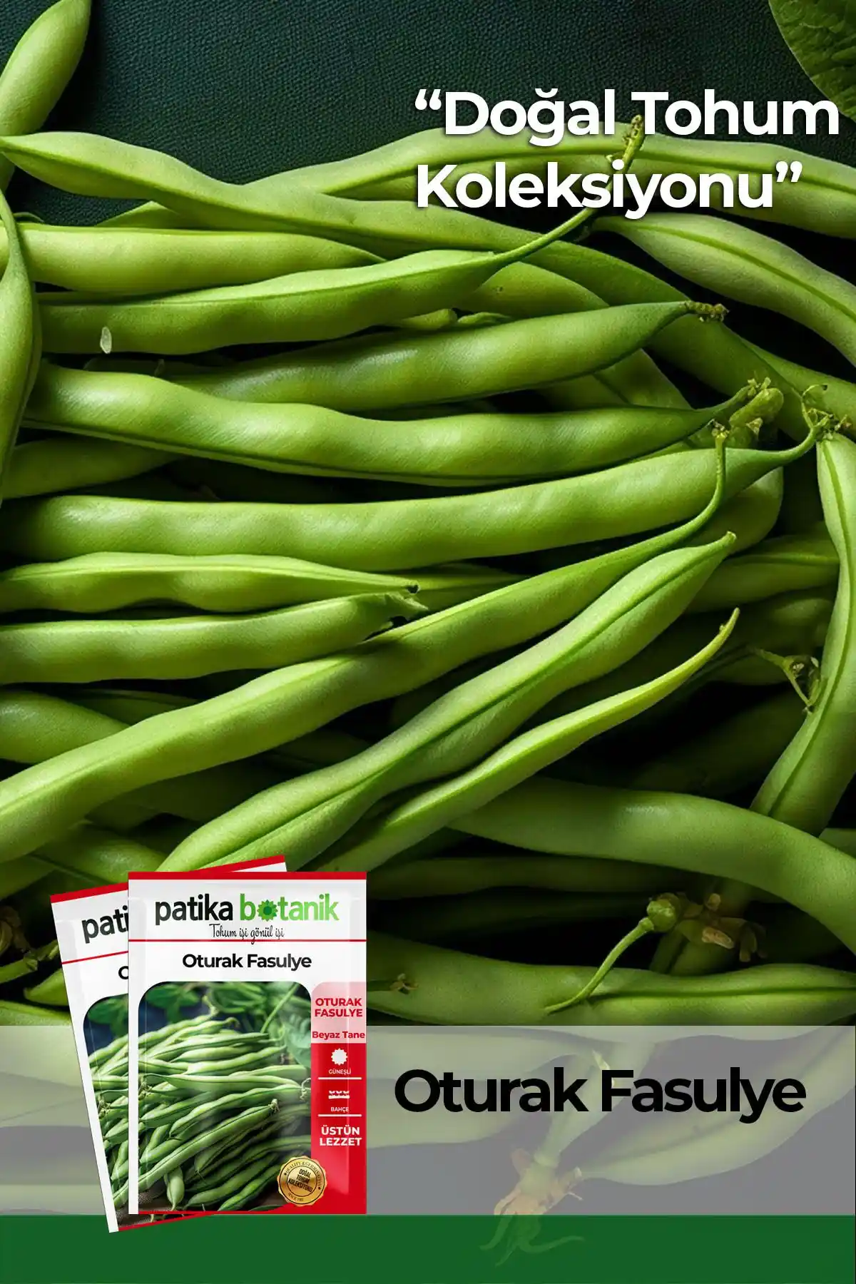 Patika Botanik Fasulye Tohumu Karşılaştırması: Oturak ve Sırık Çeşitleri Hakkında Bilgi