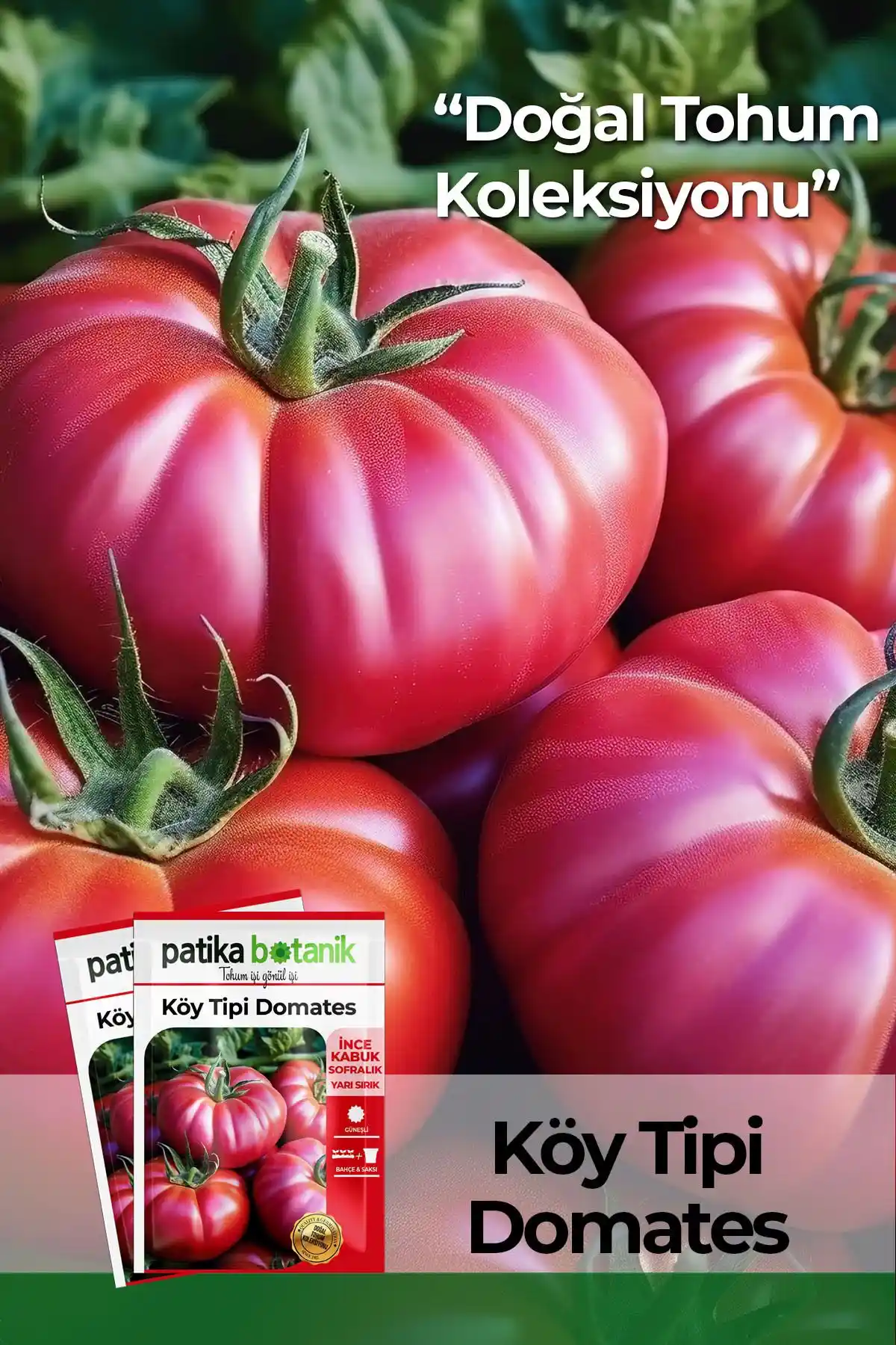 Patika Botanik Sebze Tohumları Karşılaştırması: Domates ve Biber Ürünlerinin Özellikleri