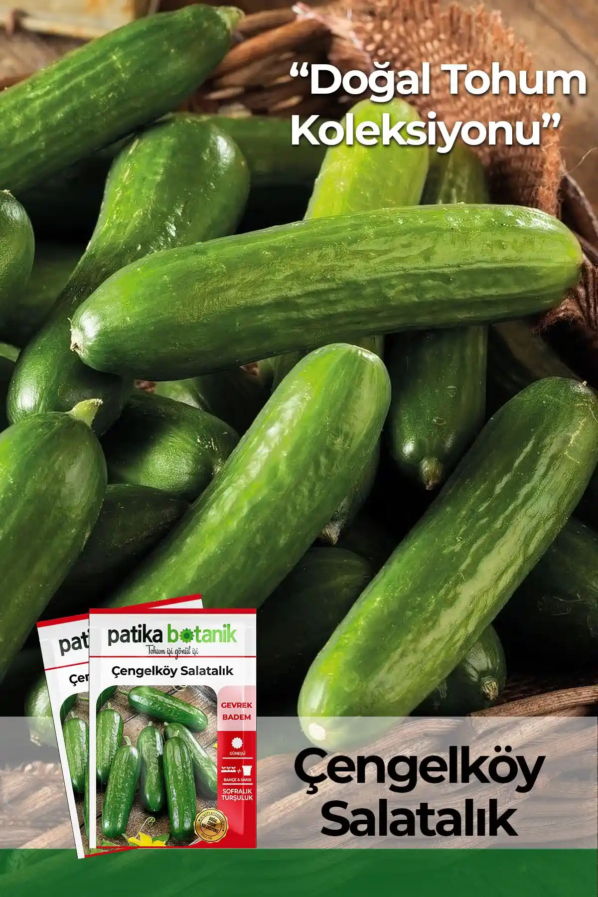 Patika Botanik Sebze Tohumları Karşılaştırması: Salatalık ve Maydanoz Ürünleri Analizi