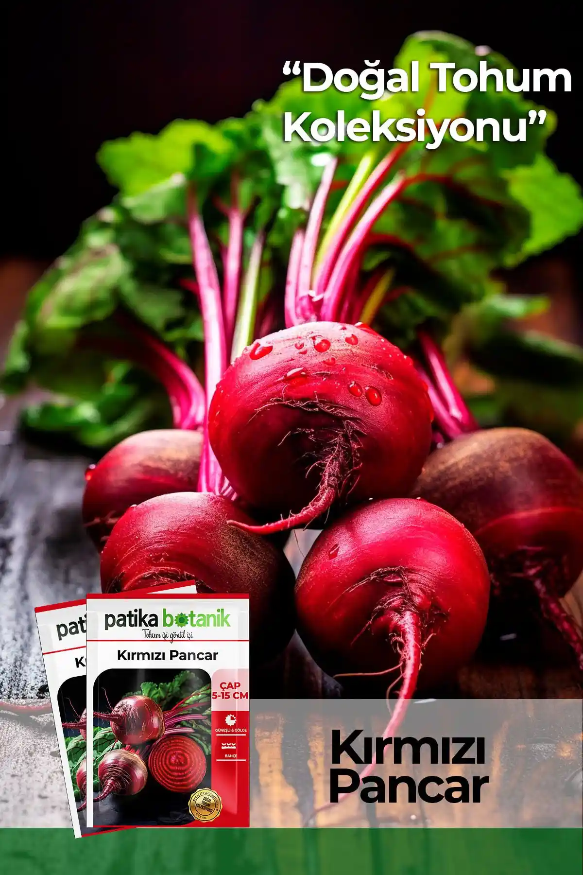 Patika Botanik Sebze Tohumu Karşılaştırması: Kırmızı Pancar ve Mor Lahana Özellikleri