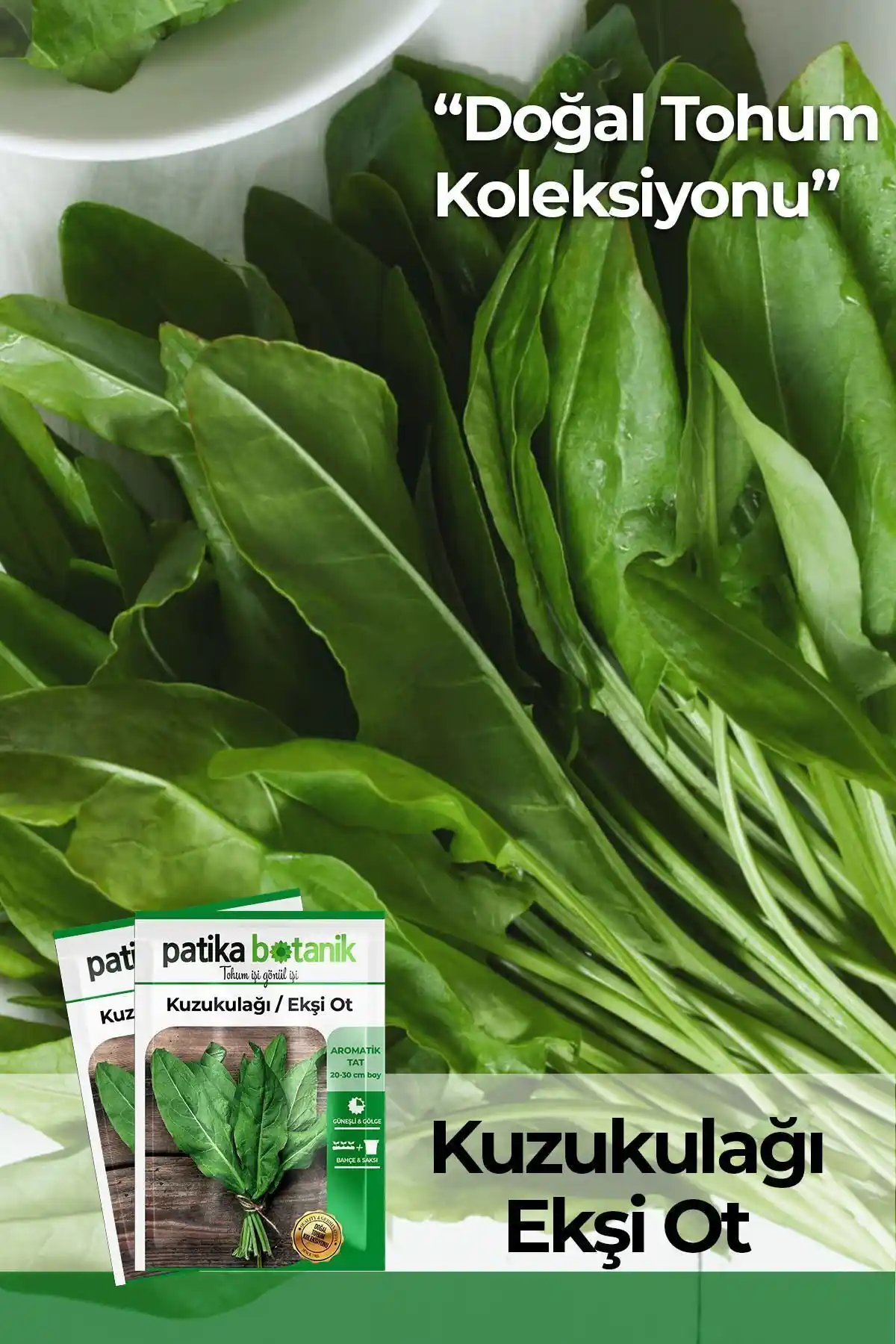 Patika Botanik Tohumları Karşılaştırması: Kuzukulağı ve Roka Ürünleri Analizi