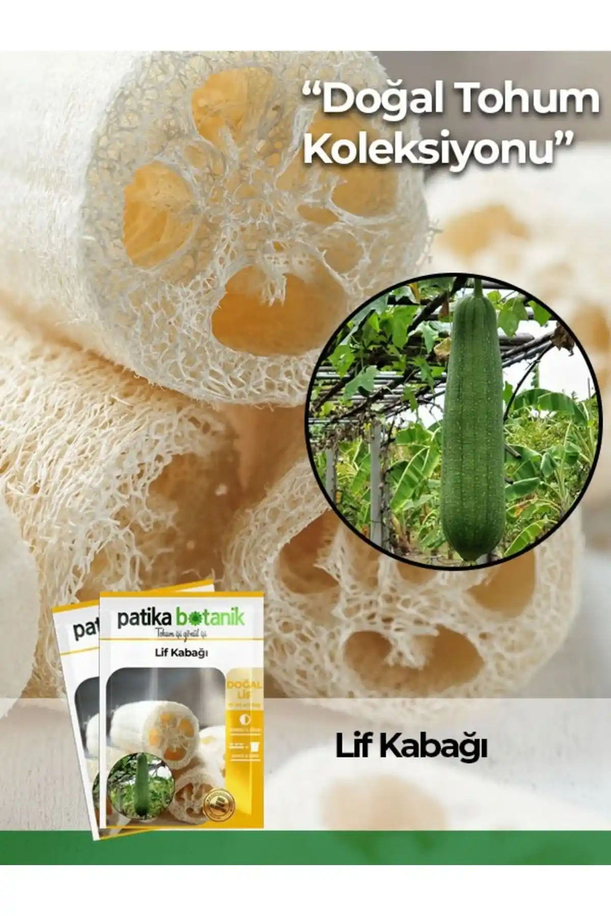 Patika Botanik ve Şenköy Yerli Kabak Lifi Tohumu Karşılaştırması ve Ürün Özellikleri