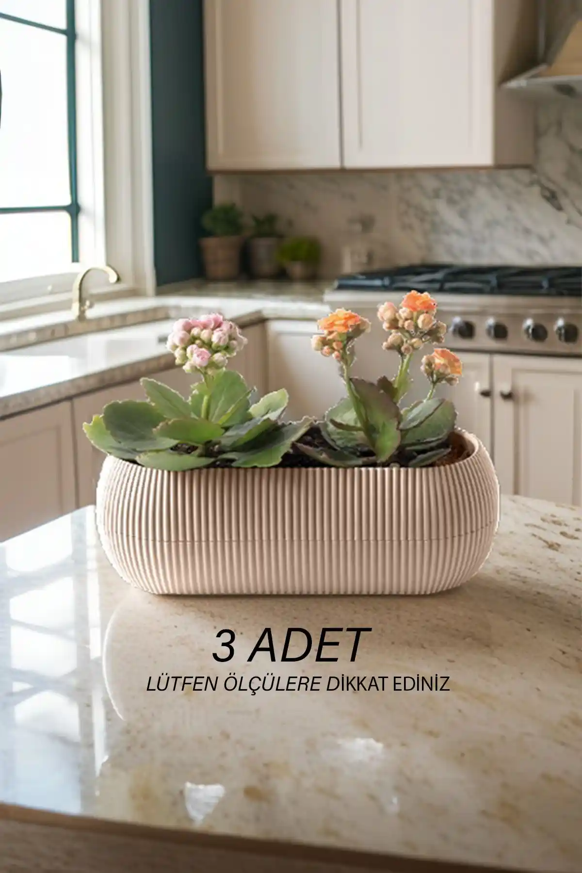 Temmuz Home Kaktüs Saksıları Karşılaştırması: Modern ve Dekoratif Seçenekler