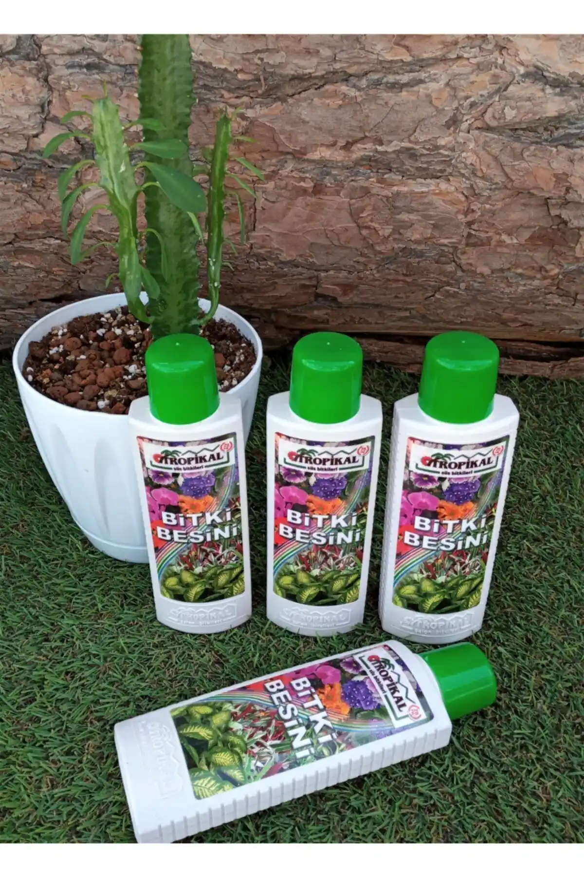 TROPİKAL Bitki Besini ve Yeşil Bitkiler İçin Vitamin Ürünlerinin Karşılaştırması