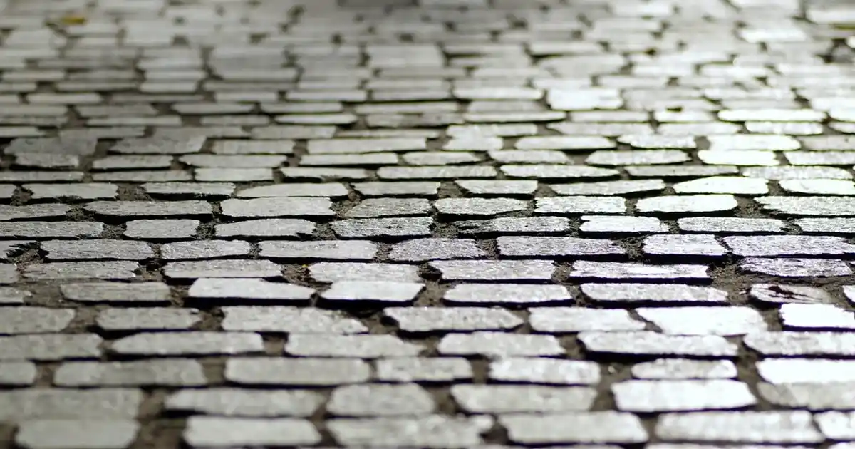 6 Parça Yemek Takımı Seçimi ve Dekorasyonda Kullanım İpuçları