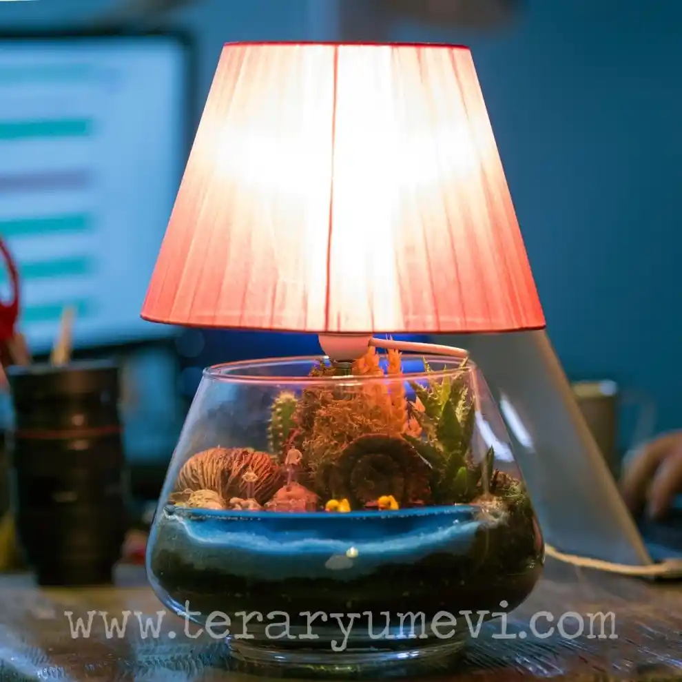 Abajur Teraryum Dekorasyon Trendleri ve Bakım İpuçları 2023