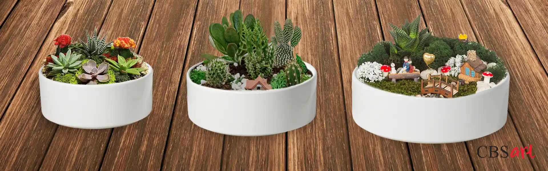 Açık Teraryum Dekorasyonu: Modern ve Doğal İç Mekan Bitki Düzenleme Trendleri