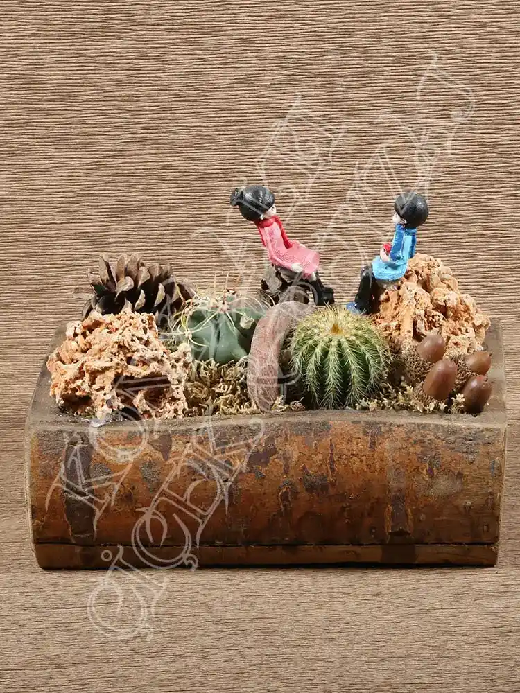 Ahşap Teraryumlar: Doğal ve Estetik Dekorasyon Seçenekleri